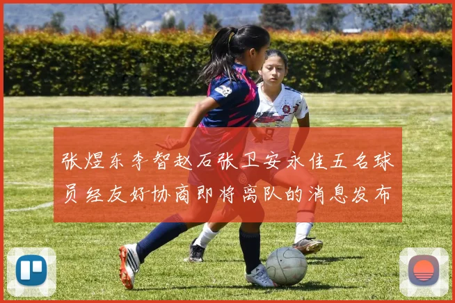 张煜东李智赵石张卫安永佳五名球员经友好协商即将离队的消息发布