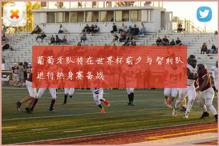 葡萄牙队将在世界杯前夕与智利队进行热身赛备战
